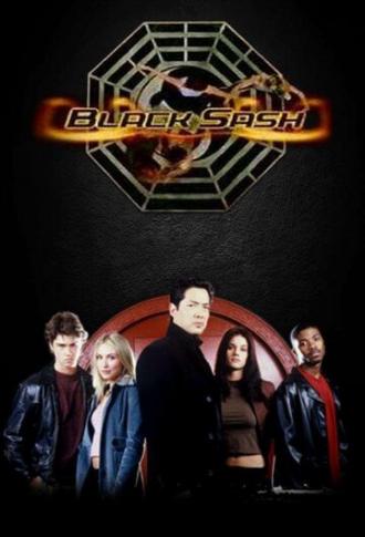 Черный пояс (сериал 2003)