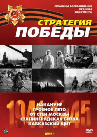 Стратегия победы (сериал 1984)