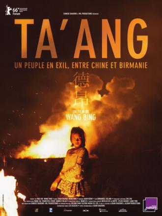 Таан (фильм 2016)