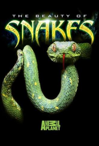 Beauty of Snakes (фильм 2003)