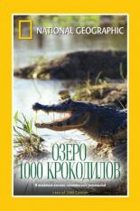 НГО: Озеро 1000 крокодилов 2007