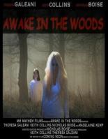 Awake in the Woods (2015)