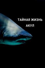Тайная жизнь акул (2021)