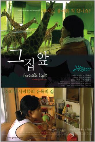 Невидимый свет (фильм 2003)
