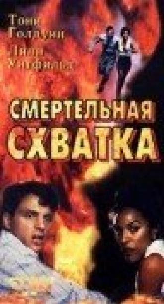 Смертельная схватка (фильм 1993)