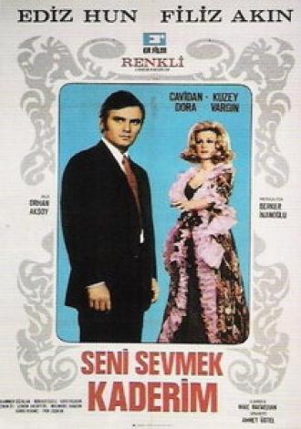 Моя любовь — твоя судьба (фильм 1970)