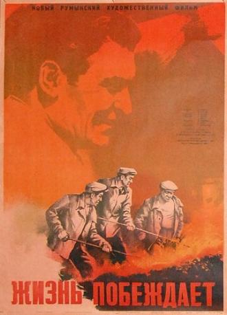 Жизнь побеждает (фильм 1951)