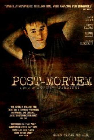После смерти (фильм 2010)