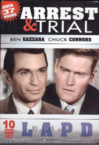 Арест и судебное разбирательство (сериал 1963)