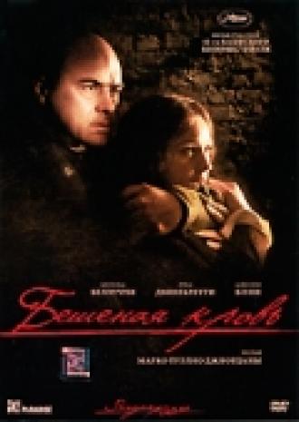 Бешеная кровь (фильм 2008)