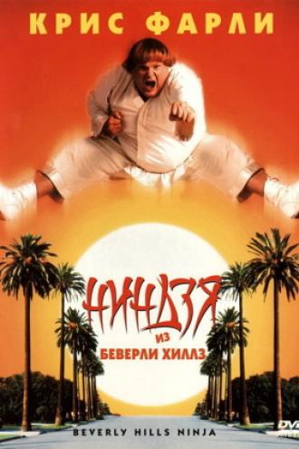 Ниндзя из Беверли Хиллз (фильм 1997)