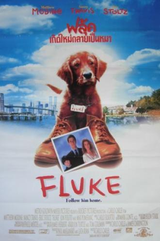 Флюк (фильм 1995)