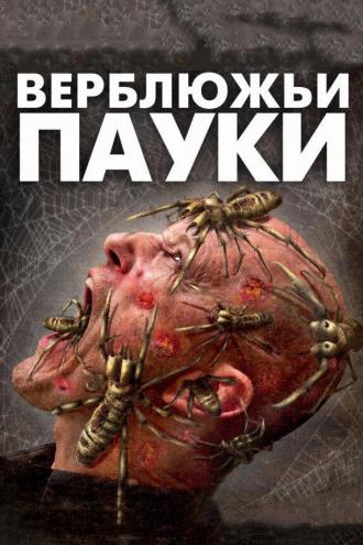 Верблюжьи пауки (фильм 2011)