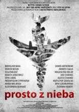 Прямо с неба 2011