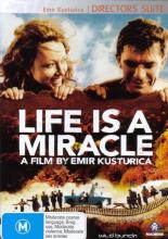 Жизнь как чудо (2004)
