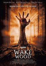 Пробуждающийся лес (2009)