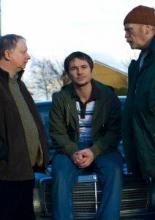 Donkeys (2006)
