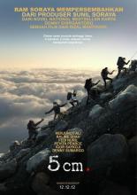 5 cm (2012)
