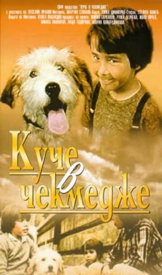 Собака в ящике (фильм 1982)