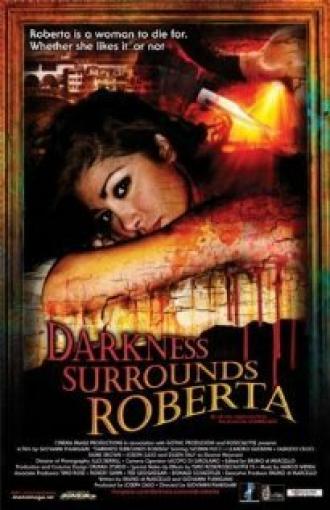 Роберту окружает тьма (фильм 2008)