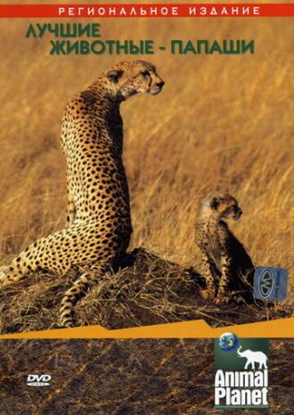 Animal Planet: Лучшие животные-папаши (фильм 2004)