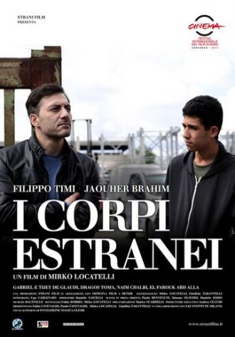 Инородные тела (фильм 2013)