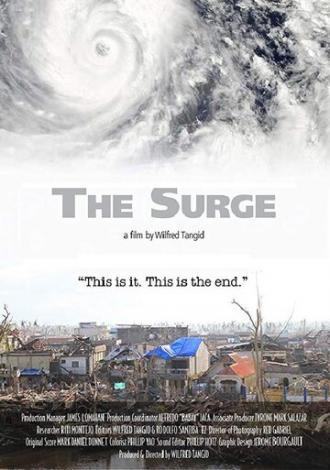 The Surge (фильм 2015)