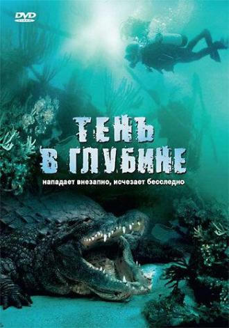 Тень в глубине (фильм 2007)
