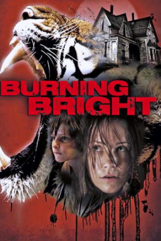 Во власти тигра (фильм 2010)