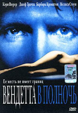 Вендетта в полночь (фильм 2001)