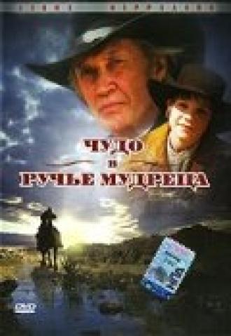 Чудо в Ручье мудреца (фильм 2005)
