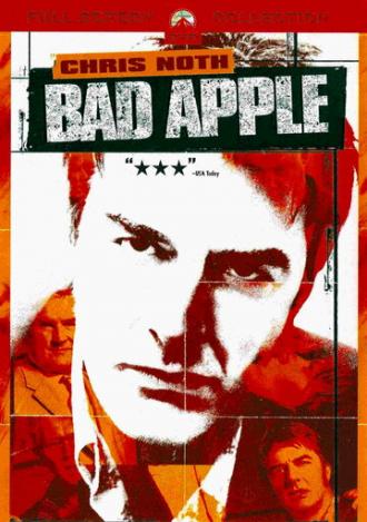 Агент под прикрытием (фильм 2004)