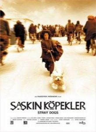 Бродячие собаки (фильм 2004)