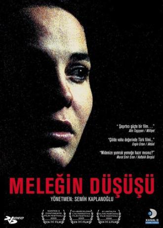 Падение Ангела (фильм 2004)