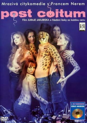 После соития (фильм 2004)