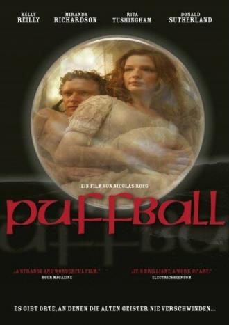 Гриб дождевик (фильм 2007)