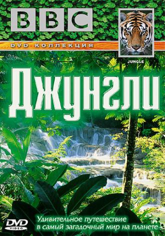 BBC: Джунгли (сериал 2003)
