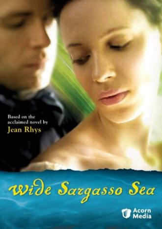 Широкое Саргассово море (фильм 2006)