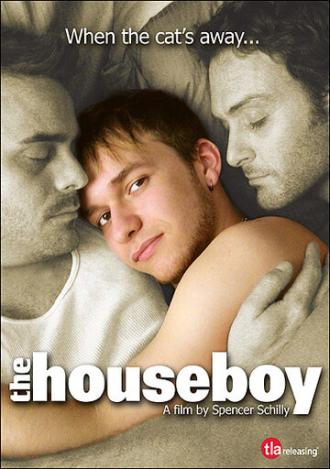Домашний мальчик (фильм 2007)