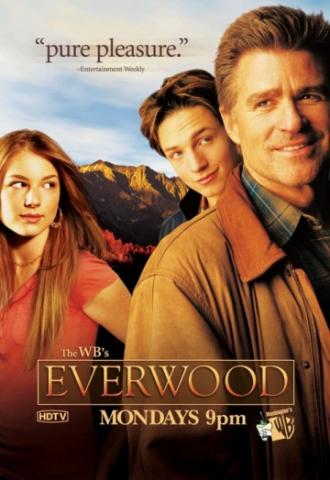 Любовь вдовца  (сериал 2002)