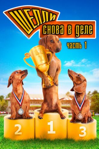 Шелли снова в деле: Часть 1 (фильм 2013)