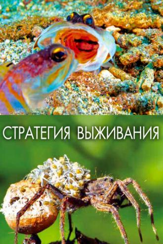 Стратегия выживания (сериал 2017)