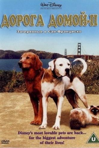 Дорога домой 2: Затерянные в Сан-Франциско (фильм 1996)
