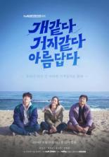 Красивое и уродливое (2019)