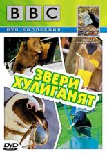 BBC: Звери хулиганят 2004