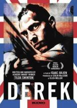 Дерек 2008