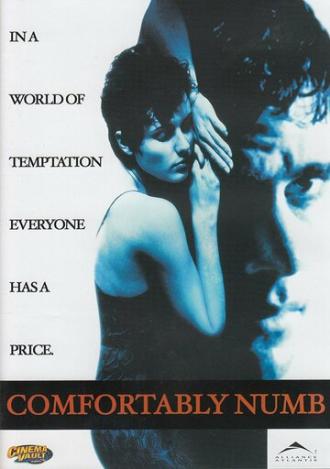 Комфортабельный номер (фильм 1995)