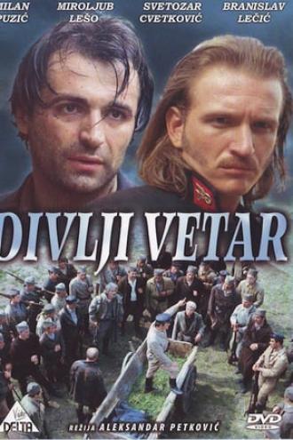 Дикий ветер (фильм 1985)