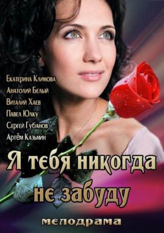 Я тебя никогда не забуду (фильм 2013)