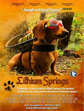 Lithium Springs (фильм 2004)